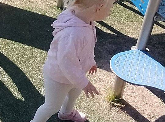 PIERWSZE DNI WRZEŚNIA