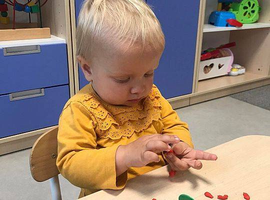 PIERWSZE DNI WRZEŚNIA