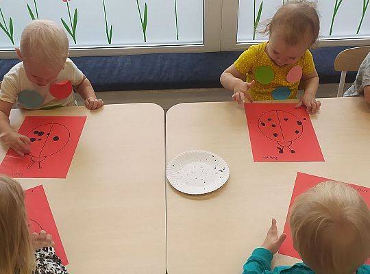 PIERWSZE DNI WRZEŚNIA