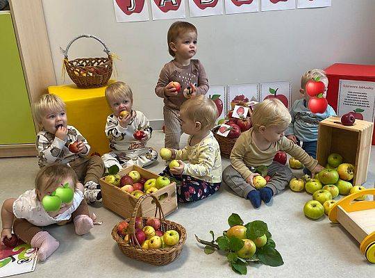 MIĘDZYNARODOWY DZIEŃ JABŁKA W NASZYM ŻŁOBKU