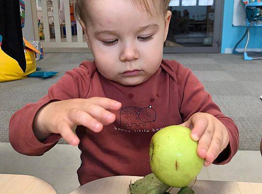 MIĘDZYNARODOWY DZIEŃ JABŁKA W NASZYM ŻŁOBKU