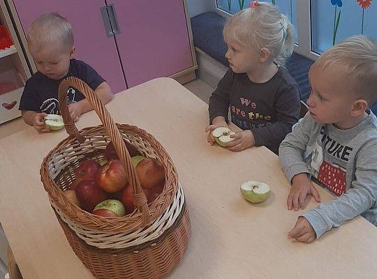 MIĘDZYNARODOWY DZIEŃ JABŁKA W NASZYM ŻŁOBKU