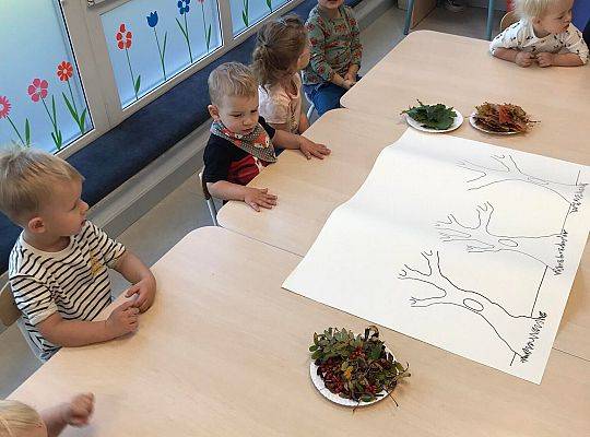 ŚWIEŻA PORCJA WIADOMOŚCI Z NASZEJ ŻŁOBKOWEJ RODZINKI