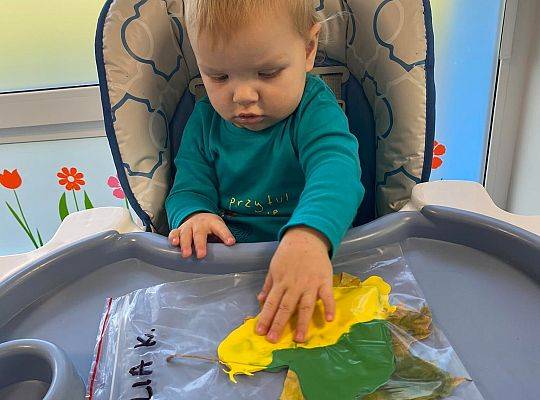 ŚWIEŻA PORCJA WIADOMOŚCI Z NASZEJ ŻŁOBKOWEJ RODZINKI