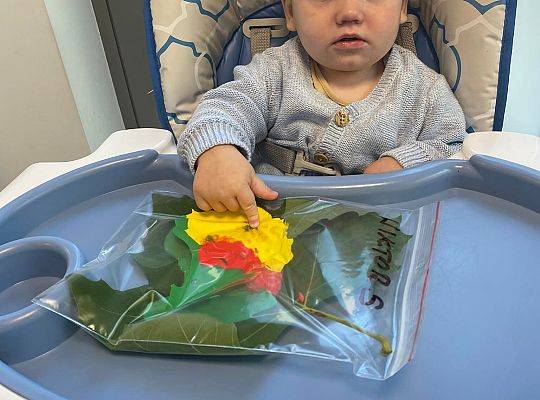 ŚWIEŻA PORCJA WIADOMOŚCI Z NASZEJ ŻŁOBKOWEJ RODZINKI