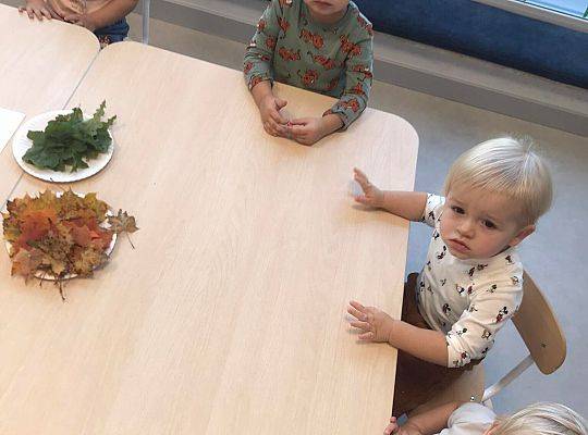 ŚWIEŻA PORCJA WIADOMOŚCI Z NASZEJ ŻŁOBKOWEJ RODZINKI