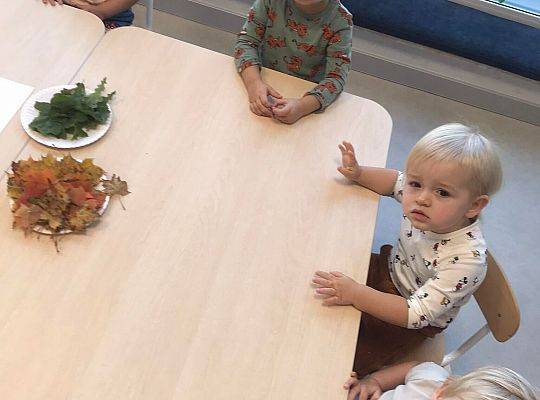 ŚWIEŻA PORCJA WIADOMOŚCI Z NASZEJ ŻŁOBKOWEJ RODZINKI