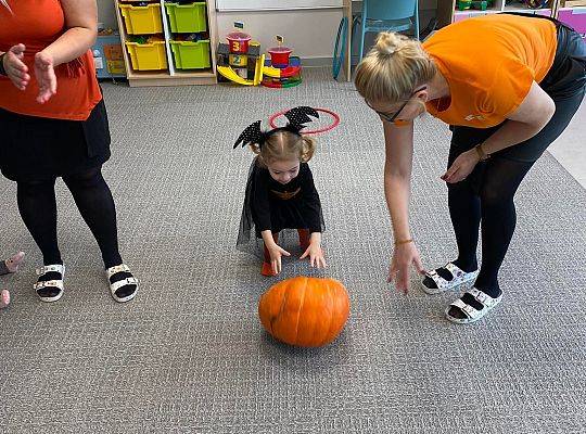 KILKA NEWSÓW Z KOŃCA PAŻDZERNIKA - MIĘDZYNARODOWY DZIEŃ DYNI