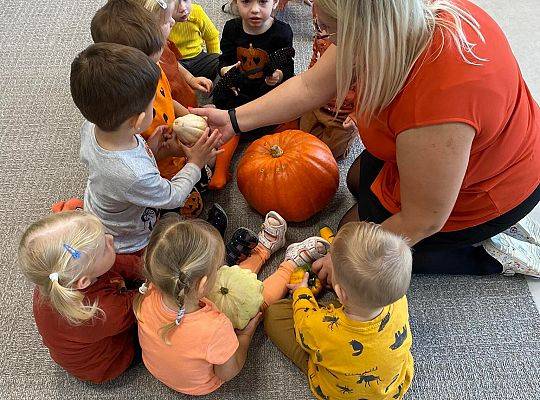 KILKA NEWSÓW Z KOŃCA PAŻDZERNIKA - MIĘDZYNARODOWY DZIEŃ DYNI