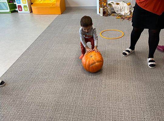 KILKA NEWSÓW Z KOŃCA PAŻDZERNIKA - MIĘDZYNARODOWY DZIEŃ DYNI