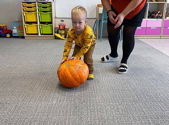 KILKA NEWSÓW Z KOŃCA PAŻDZERNIKA - MIĘDZYNARODOWY DZIEŃ DYNI