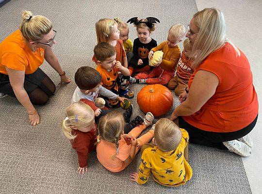 KILKA NEWSÓW Z KOŃCA PAŻDZERNIKA - MIĘDZYNARODOWY DZIEŃ DYNI