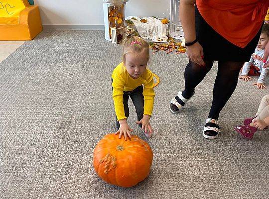 KILKA NEWSÓW Z KOŃCA PAŻDZERNIKA - MIĘDZYNARODOWY DZIEŃ DYNI