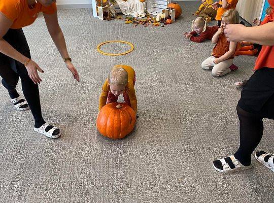 KILKA NEWSÓW Z KOŃCA PAŻDZERNIKA - MIĘDZYNARODOWY DZIEŃ DYNI