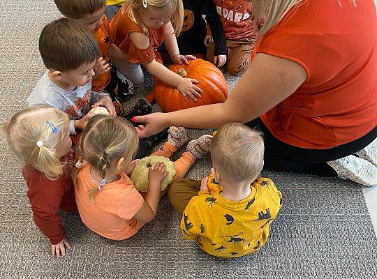 KILKA NEWSÓW Z KOŃCA PAŻDZERNIKA - MIĘDZYNARODOWY DZIEŃ DYNI