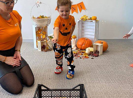 KILKA NEWSÓW Z KOŃCA PAŻDZERNIKA - MIĘDZYNARODOWY DZIEŃ DYNI