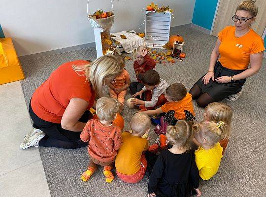 KILKA NEWSÓW Z KOŃCA PAŻDZERNIKA - MIĘDZYNARODOWY DZIEŃ DYNI