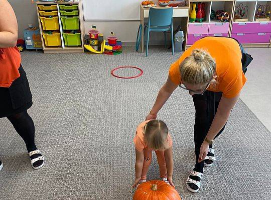 KILKA NEWSÓW Z KOŃCA PAŻDZERNIKA - MIĘDZYNARODOWY DZIEŃ DYNI