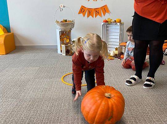 KILKA NEWSÓW Z KOŃCA PAŻDZERNIKA - MIĘDZYNARODOWY DZIEŃ DYNI