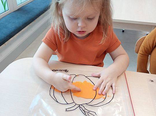 KILKA NEWSÓW Z KOŃCA PAŻDZERNIKA - MIĘDZYNARODOWY DZIEŃ DYNI