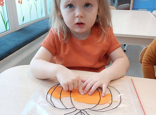 KILKA NEWSÓW Z KOŃCA PAŻDZERNIKA - MIĘDZYNARODOWY DZIEŃ DYNI