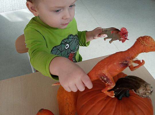 KILKA NEWSÓW Z KOŃCA PAŻDZERNIKA - MIĘDZYNARODOWY DZIEŃ DYNI