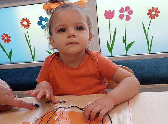 KILKA NEWSÓW Z KOŃCA PAŻDZERNIKA - MIĘDZYNARODOWY DZIEŃ DYNI