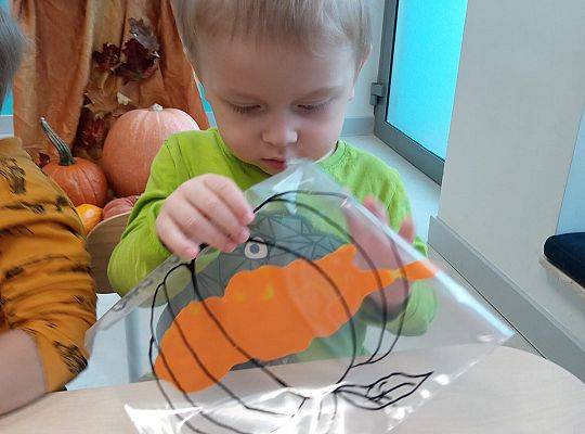 KILKA NEWSÓW Z KOŃCA PAŻDZERNIKA - MIĘDZYNARODOWY DZIEŃ DYNI