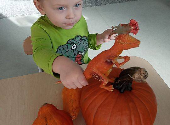 KILKA NEWSÓW Z KOŃCA PAŻDZERNIKA - MIĘDZYNARODOWY DZIEŃ DYNI