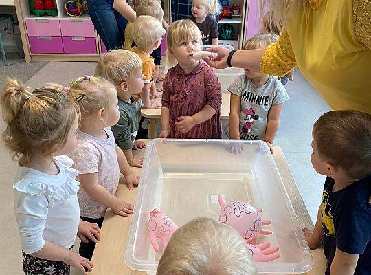 ZDROWO JEMY - ZDROWO ŻYJEMY