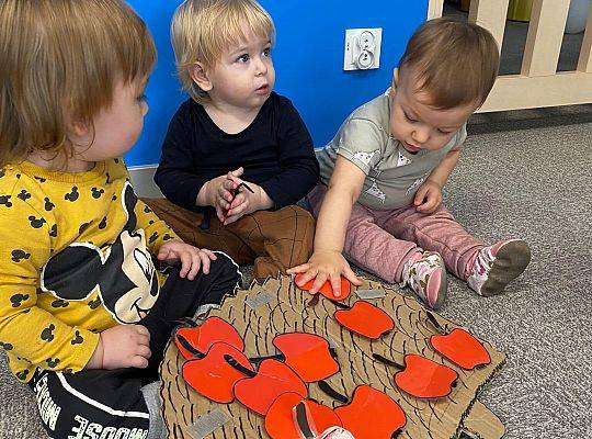 MIEDZYNARODOWY DZIEŃ JEŻA