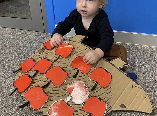 MIEDZYNARODOWY DZIEŃ JEŻA