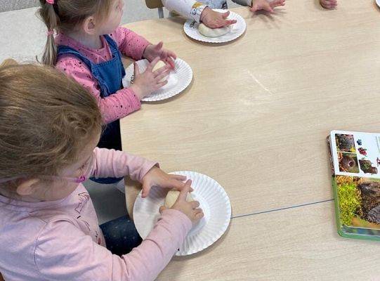 MIEDZYNARODOWY DZIEŃ JEŻA