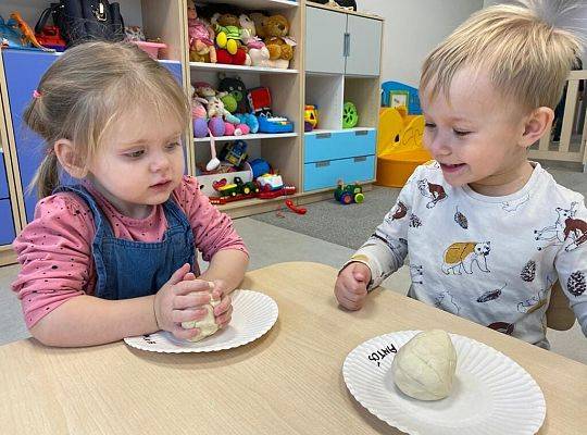 MIEDZYNARODOWY DZIEŃ JEŻA