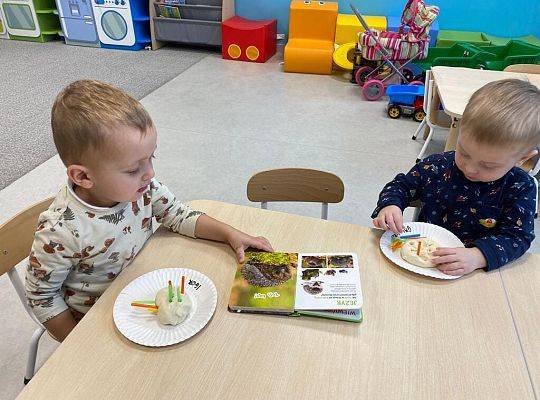 MIEDZYNARODOWY DZIEŃ JEŻA