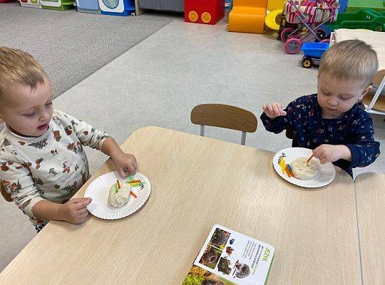 MIEDZYNARODOWY DZIEŃ JEŻA