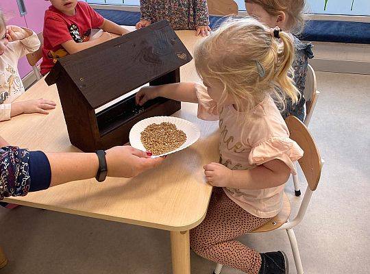 PRACA WRE U KRASNALI