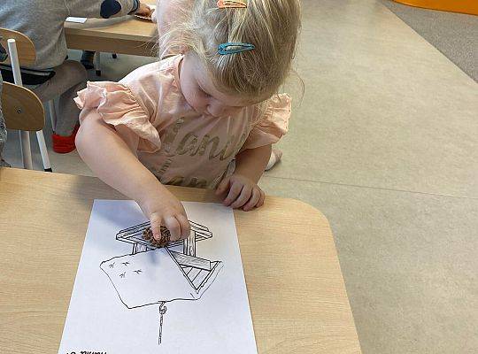 PRACA WRE U KRASNALI