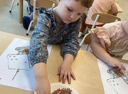 PRACA WRE U KRASNALI