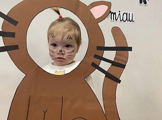 DOM BEZ KOTA TO NIE ROBOTA