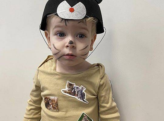 DOM BEZ KOTA TO NIE ROBOTA