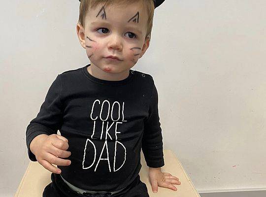 DOM BEZ KOTA TO NIE ROBOTA