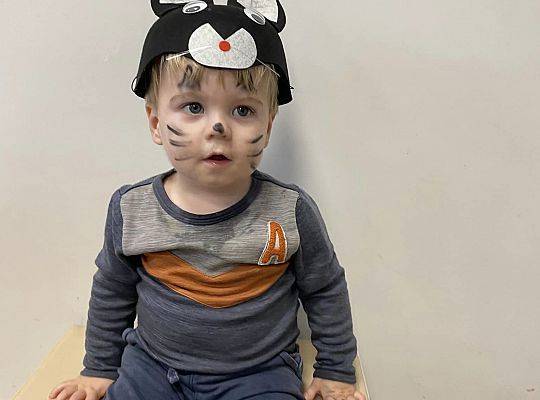 DOM BEZ KOTA TO NIE ROBOTA