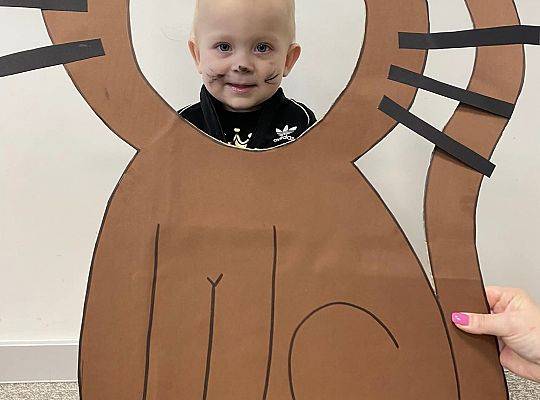 DOM BEZ KOTA TO NIE ROBOTA