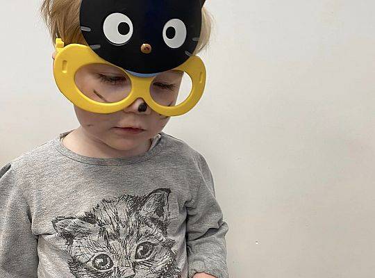 DOM BEZ KOTA TO NIE ROBOTA