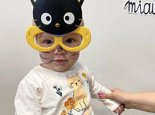 DOM BEZ KOTA TO NIE ROBOTA