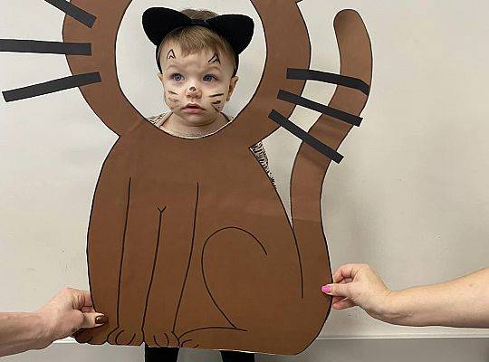 DOM BEZ KOTA TO NIE ROBOTA