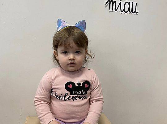 DOM BEZ KOTA TO NIE ROBOTA