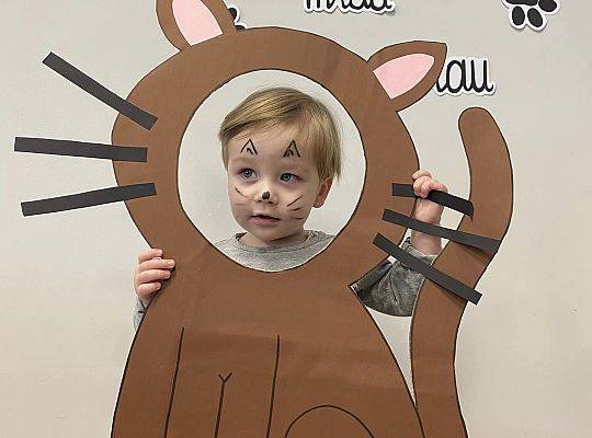 DOM BEZ KOTA TO NIE ROBOTA