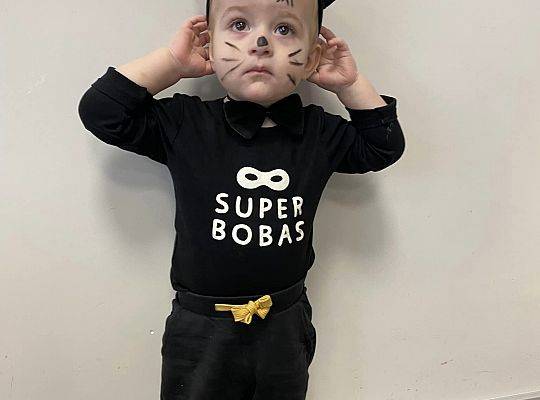 DOM BEZ KOTA TO NIE ROBOTA